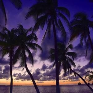 Meet your Posher, Jeanine